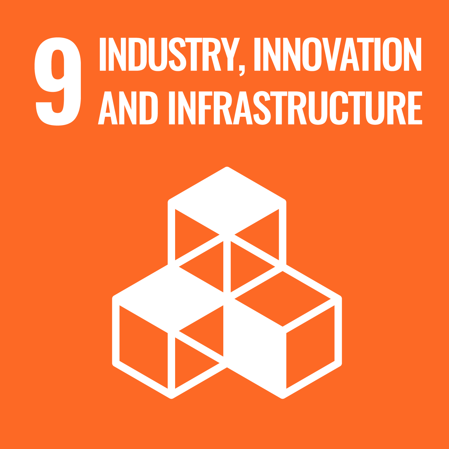 Industry, innovation and infrastructure / Infraestructura